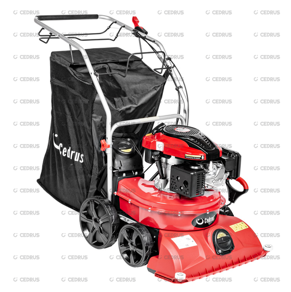 Aerator Odkurzacz ogrodowy do liści Cedrus LV58S + rura ssąca + szczotka + aerator + olej 