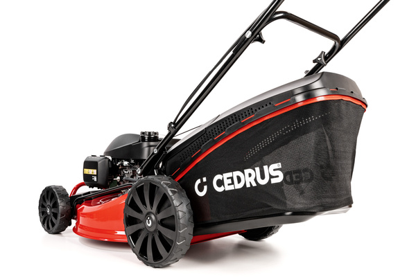 Kosiarka spalinowa Cedrus KS53S-H silnik HONDA GCV200