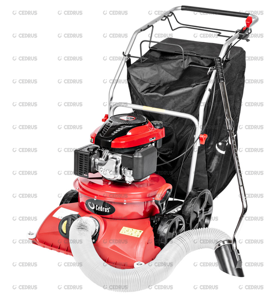 Aerator Odkurzacz ogrodowy do liści Cedrus LV58S + rura ssąca + szczotka + aerator + olej 