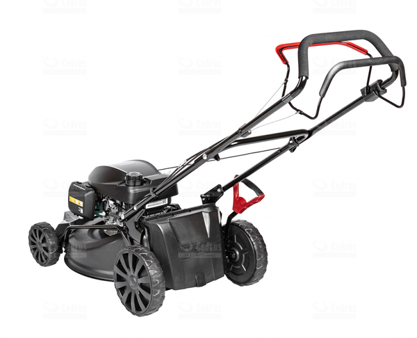 Kosiarka spalinowa Cedrus KS48S-H HONDA GCV170 - OD RĘKI
