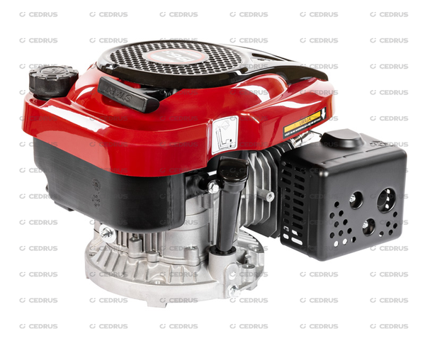 Silnik spalinowy Loncin LC1P70FC-F wał pionowy typ F 22,2x80 mm